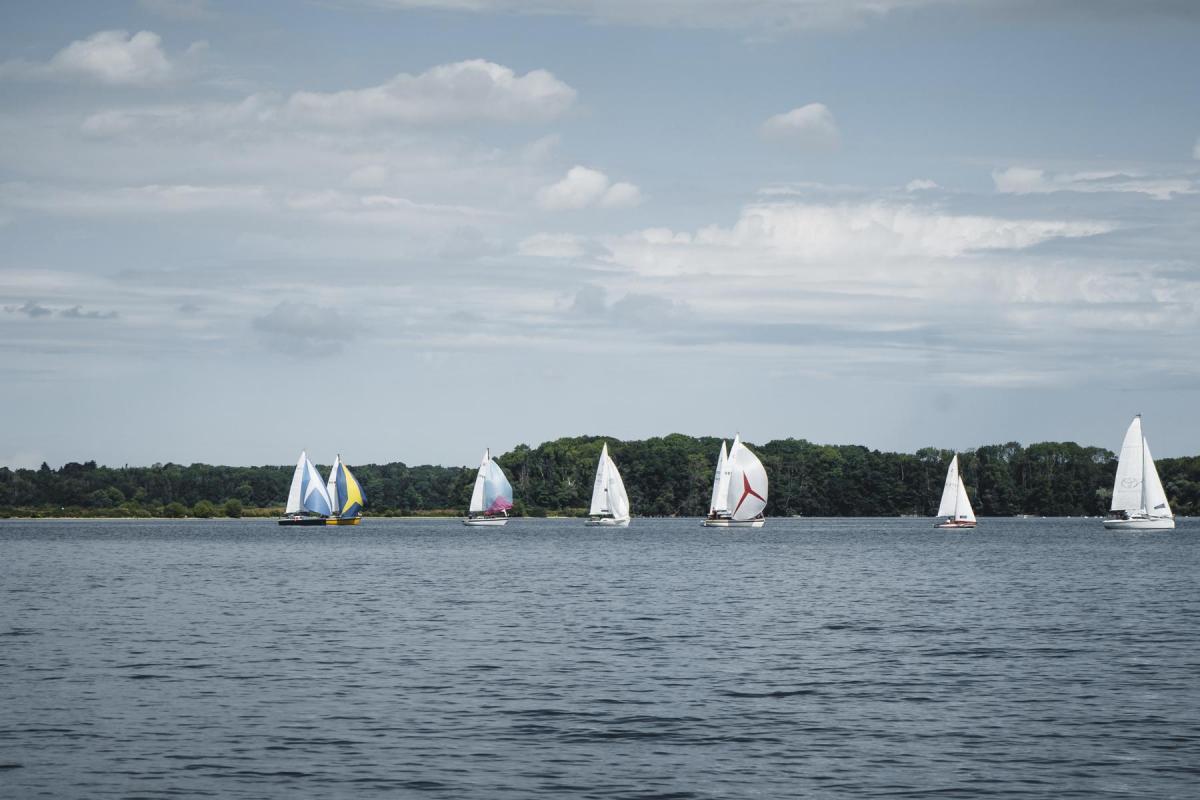 08_2018_Regatta_Plön_Photo_A7III_00041_Export